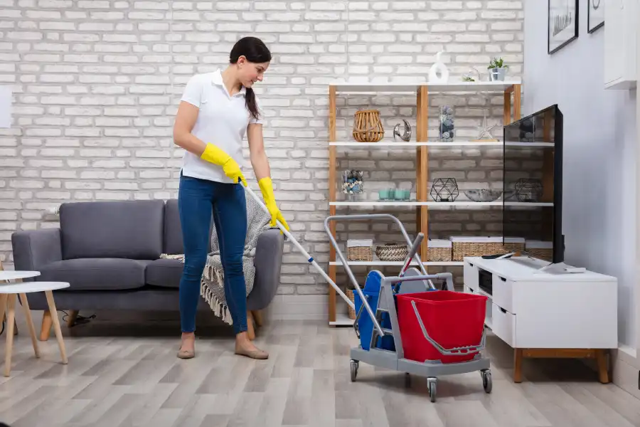 Regular Cleaning